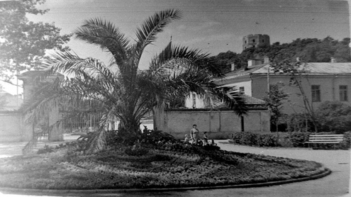 Jaunimo sodas Vilniuje. 1952 07.  Fotografas Š.Fainas, nuotrauka iš LCVA.