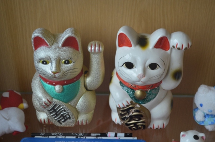 japoniškos-kates