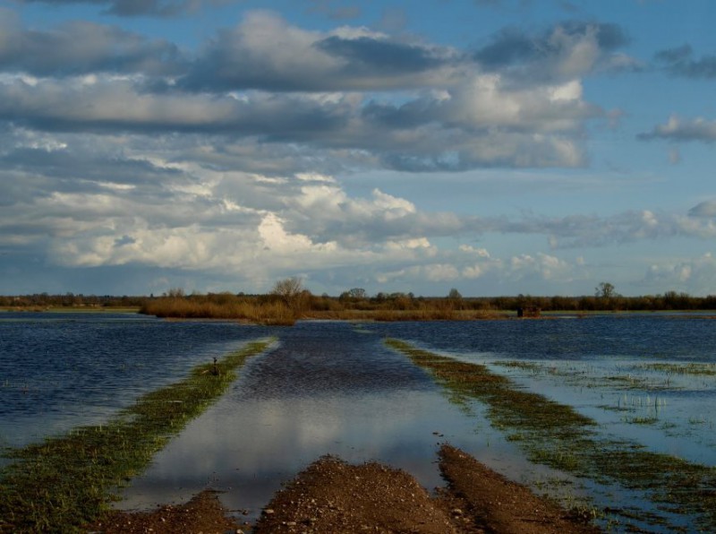 Pievos čia – tai kanalų išraizgytos lygumos, su atsiveriančiais horizontais. Asmeninio archyvo nuotr.